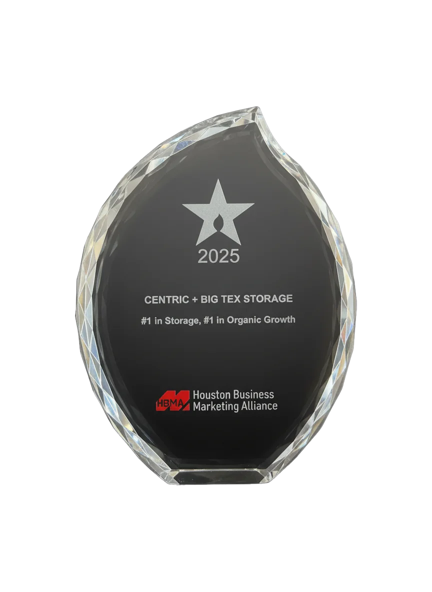 SEO & AI Search Dominance