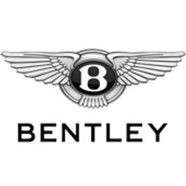 Fueling Your Automotive Brand for Unmatched Growthicon