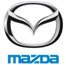 Fueling Your Automotive Brand for Unmatched Growthicon