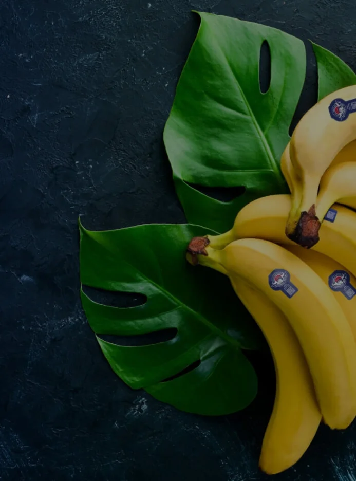 Sharbatly | A Digital Evolution for a Legacy Brand