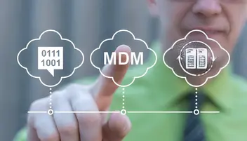 Pimcore MDM for Enterprise: Why Open-Source Master Data Management Wins