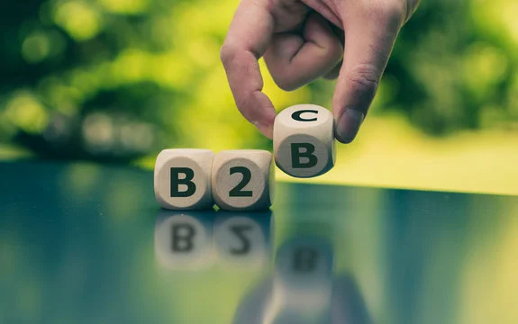 What’s The Difference Between B2B and B2C Website Development: Complete Guide